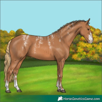 Horse Color:Powder White Chestnut