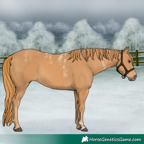 Horse Color:Powder White Chestnut