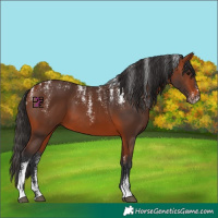 Horse Color:Powder White Bay 