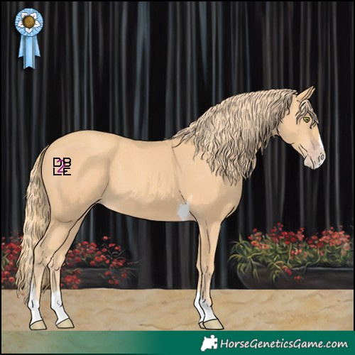 Horse Color:Gold Champagne Splash Tobiano 