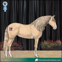 Horse Color:Gold Champagne Splash Tobiano