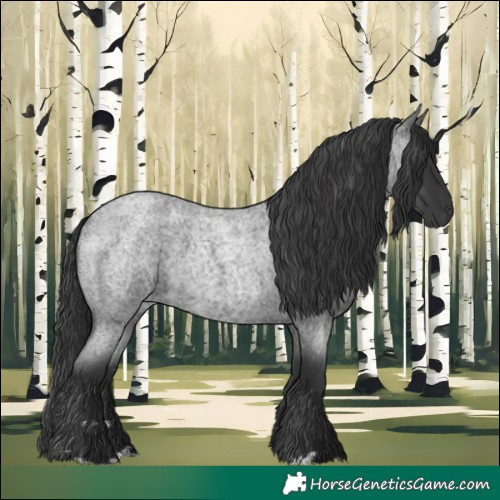 Horse Color:Blue Roan