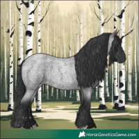 Horse Color:Blue Roan 