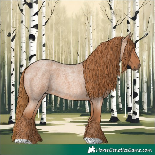 Horse Color:Red Roan 