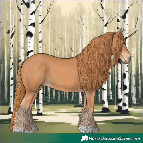 Horse Color:Chestnut 
