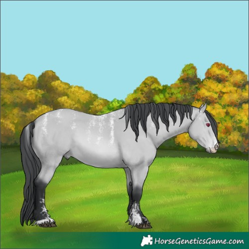 Horse Color:Powder White Bay Chinchilla