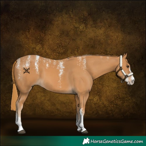 Horse Color:Powder White Chestnut 