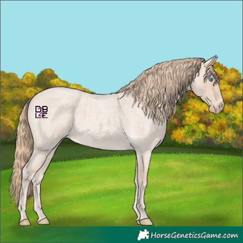 Horse Color:Perlino Roan 