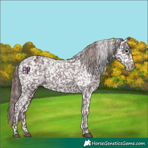 Horse Color:Chocolate Black Snowflake Varnish 