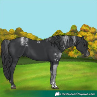 Horse Color:Powder White White Spotted Black 