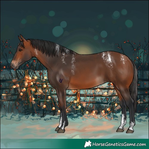 Horse Color:Powder White Bay 