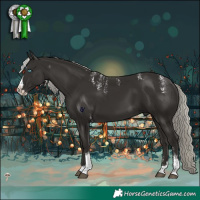 Horse Color:Powder White Liver Chestnut Mushroom Splash Tobiano 