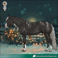 Horse Color:Powder White Liver Chestnut Mushroom Splash Tobiano 