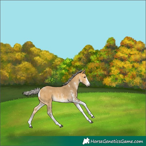 Horse Color:Silver Buckskin Sabino Tobiano 