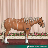Horse Color:Powder White Chestnut 