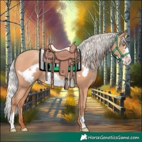 Horse Color:Silver Amber Champagne Frame 