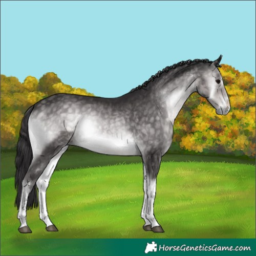 Horse Color:Platinum White Spotted Buckskin Onyx