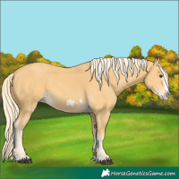 Horse Color:Palomino Splash Frame 