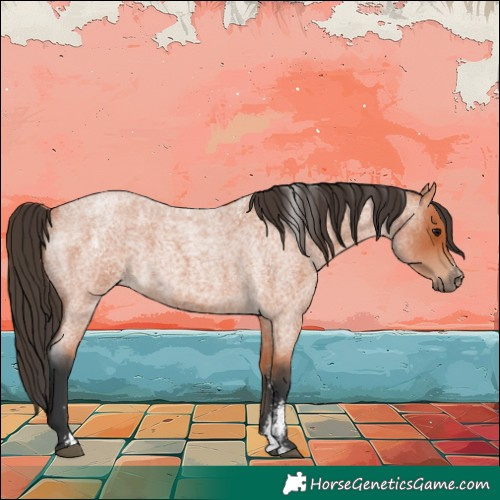 Horse Color:Powder White Bay Roan
