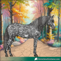 Horse Color:Black Frame Appaloosa
