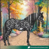 Horse Color:Black Frame Snowflake Varnish
