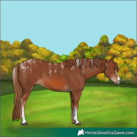 Horse Color:Powder White Chestnut