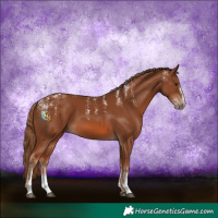 Horse Color:Powder White Chestnut 