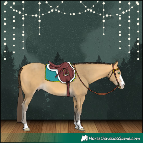 Horse Color:Amber Cream Champagne