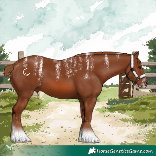 Horse Color:Powder White Chestnut