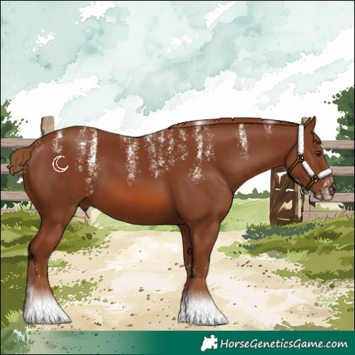 Horse Color:Powder White Chestnut 