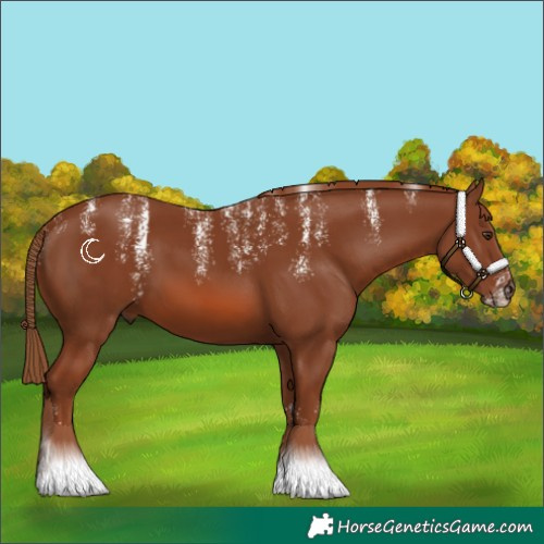 Horse Color:Powder White Chestnut
