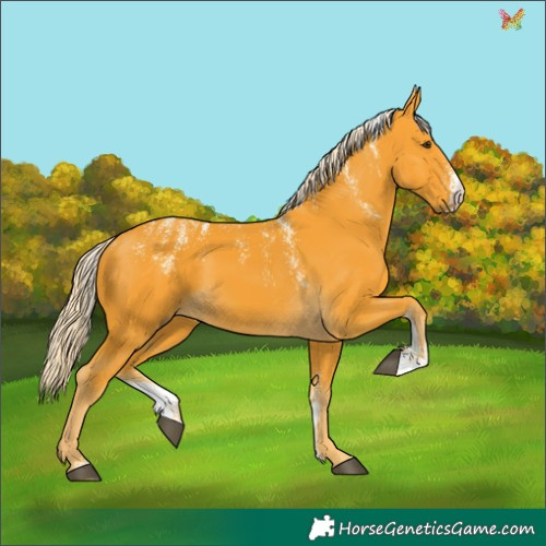 Horse Color:Powder White Palomino 