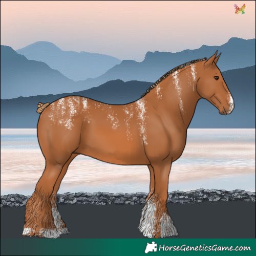 Horse Color:Powder White Chestnut 