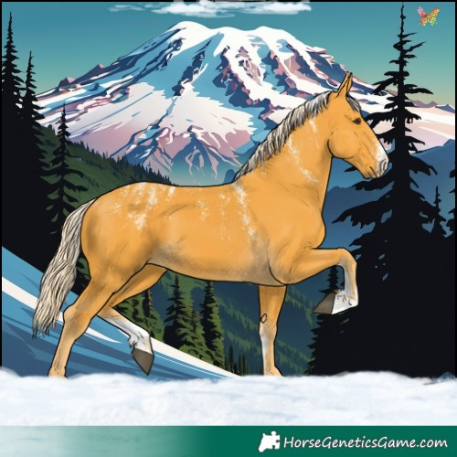 Horse Color:Powder White Palomino