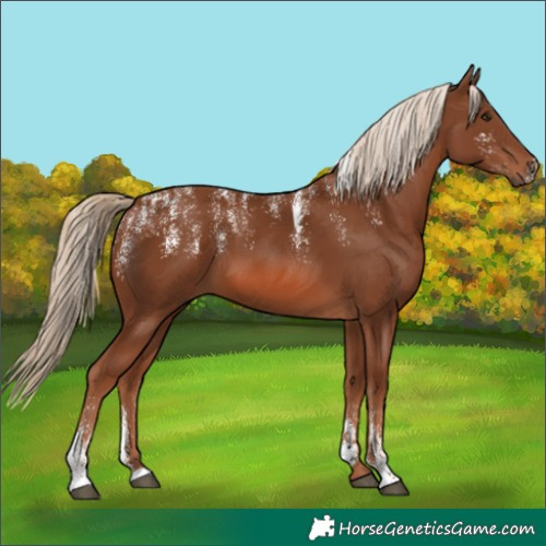 Horse Color:Powder White Chestnut 