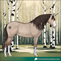 Horse Color:Sable Champagne Dun 