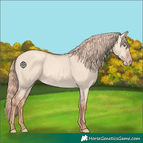 Horse Color:Gold Champagne Dun Rabicano 