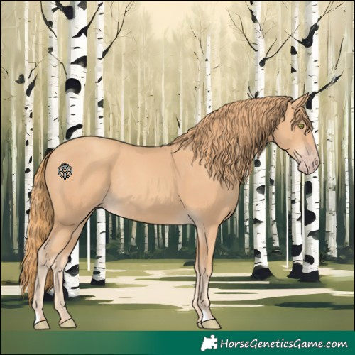 Horse Color:Gold Champagne Rabicano