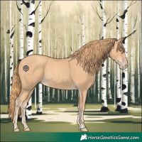 Horse Color:Gold Champagne Rabicano 