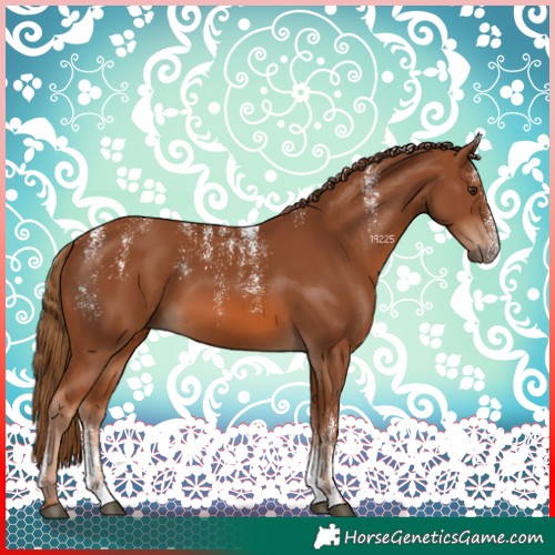 Horse Color:Powder White Chestnut 