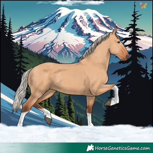 Horse Color:Silver Bay Dun Tobiano