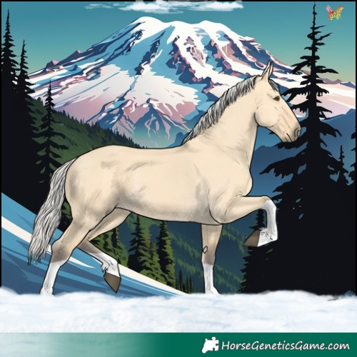 Horse Color:Silver Buckskin Dun Tobiano