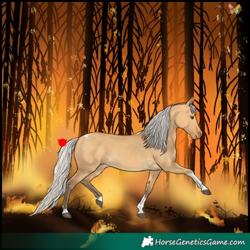 Horse Color:Silver Buckskin Dun Tobiano
