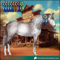 Horse Color:Gray Chocolate Black