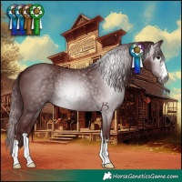 Horse Color:Gray Chocolate Black