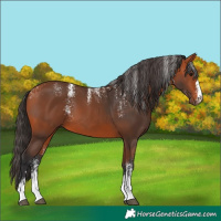 Horse Color:Powder White Bay