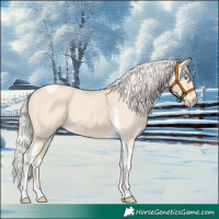 Horse Color:Cremello Tobiano 
