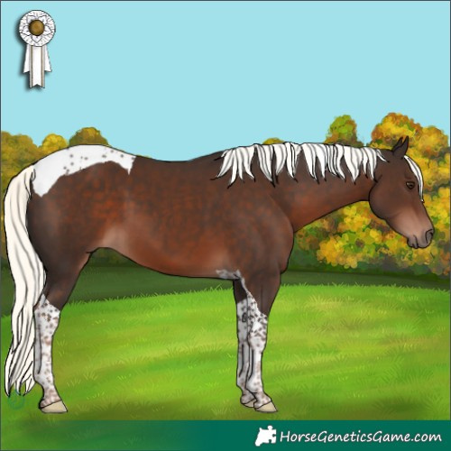 Horse Color:Liver Chestnut Mushroom Tobiano 