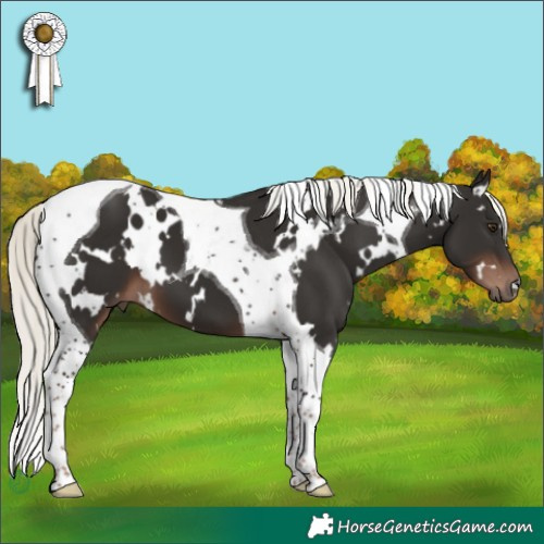 Horse Color:White Spotted Liver Chestnut Mushroom Tobiano 