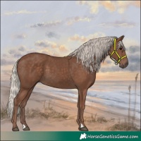 Horse Color:Silver Black 